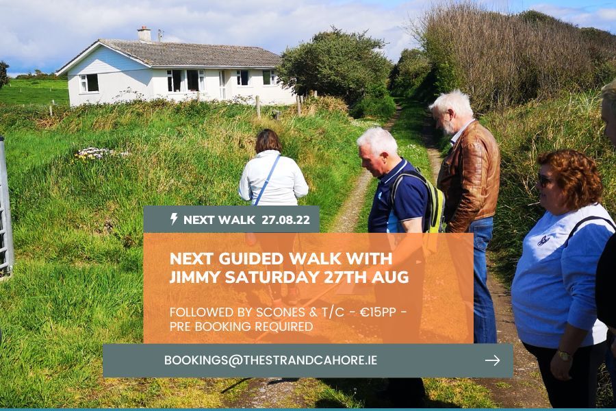 Guided Walks in Wexford 